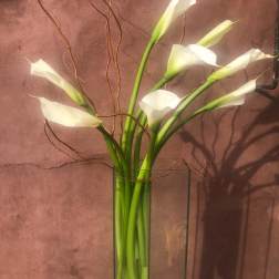 White calla lilies in a tall clear glass vase