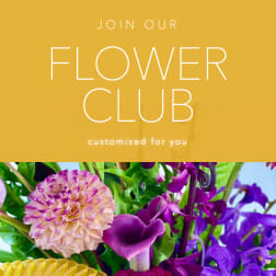 Flower club promo with a colorful floral arrangement below