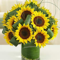 Bouquet of sunflowers in a clear glass vase
