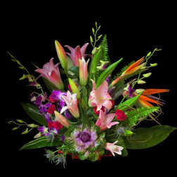 Tropical Remembrance