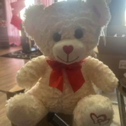 Valentine Bear