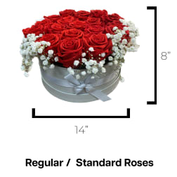 Red roses in a round box with white baby's breath and a ribbon