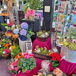 Assorted potted flowers and plants displayed on colorful stands in a shop.