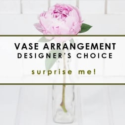 Single pink flower in a clear glass vase with text overlay