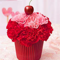 Cupcake For Your Cupcake