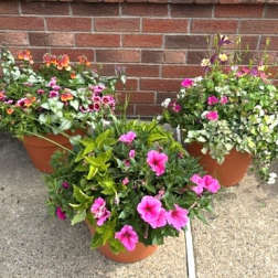 Garden Planter Patio Pot