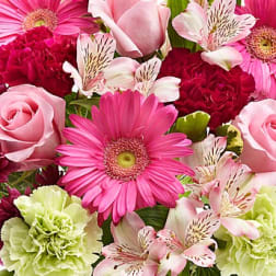 Pink gerbera daisies, roses, carnations, and alstroemeria in a mixed bouquet