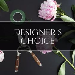 Mom's Designers' Choice - Let's Wow Mom!