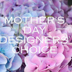 Mother's Day Designer's Choice