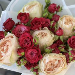 Bouquet of blush and red roses wrapped in white paper