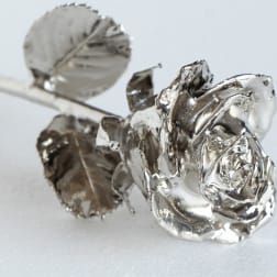 Silver rose-shaped decorative picks on stems