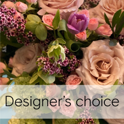 Designer's Choice - $600 to $900