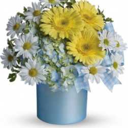 Yellow and white daisy bouquet in a blue vase with a plaid ribbon