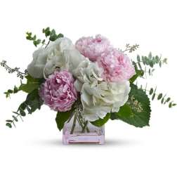 Pink and white peonies arranged in a square glass vase