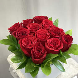Modern Roses