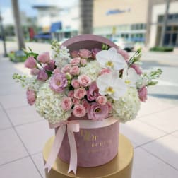 Blush Crush™