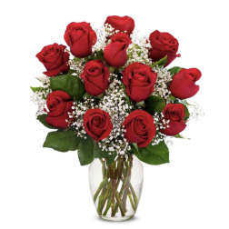 Red roses arranged in a clear glass vase with baby's breath