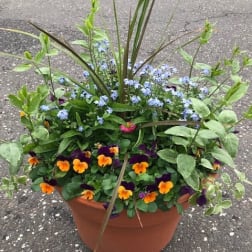 Spring Patio Planter GC-G001