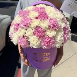 Box of carnations
