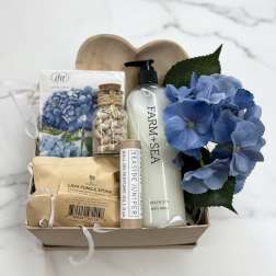 Hydrangea Dreams