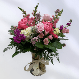 MD56 Peony Delight