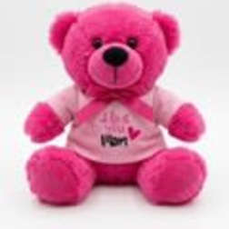 Small Mother's Day Bear