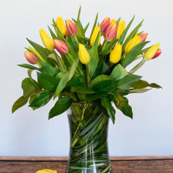 Tulips