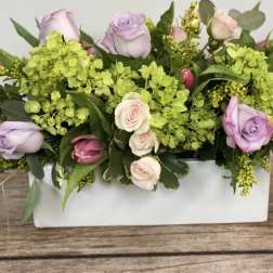 Spring Splendor