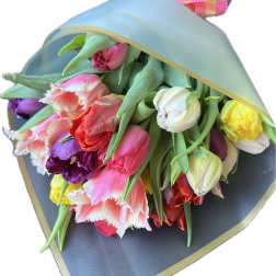 Bouquet of multicolored tulips wrapped in blue paper with a plaid ribbon