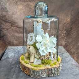 Alba- A Preserved Gardenia Arrangement