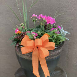 Large Glazed patio pot