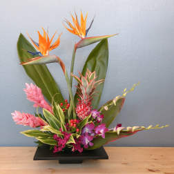 Tropical floral arrangement with orange bird-of-paradise and pink orchids in a black vase