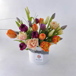 Colorful tulip bouquet in a white hatbox with a striped ribbon
