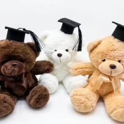The Commemorative Grad Bear
