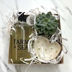 Bubble Box with Farm + Sea