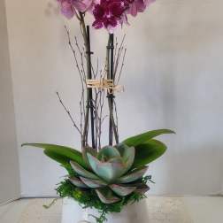 Double Stem Purple with Escheveria