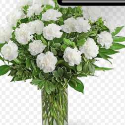 White carnations in a clear glass vase with green foliage