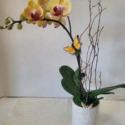 Single Stem Yellow