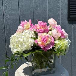 Pretty in Peony