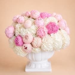 Peony Cloud