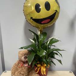 Congrats Grad Planter Trio