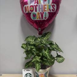Mom’s Day Planter & Starbucks