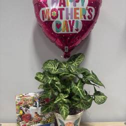 Mom’s Day Plant & Puzzle