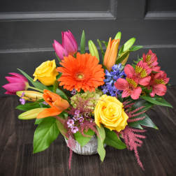 Burst of Happiness - PREMIUM