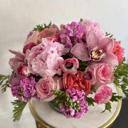 Premium Pink Please