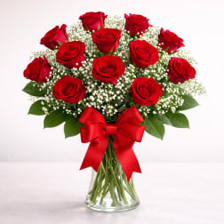 Red Roses