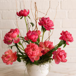 Peony Bliss