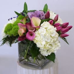 Tulips and Callas