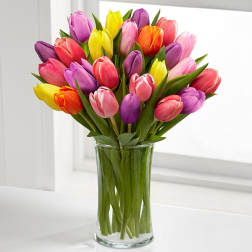 Colorful tulip bouquet in a clear glass vase