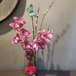 Sleek Orchids